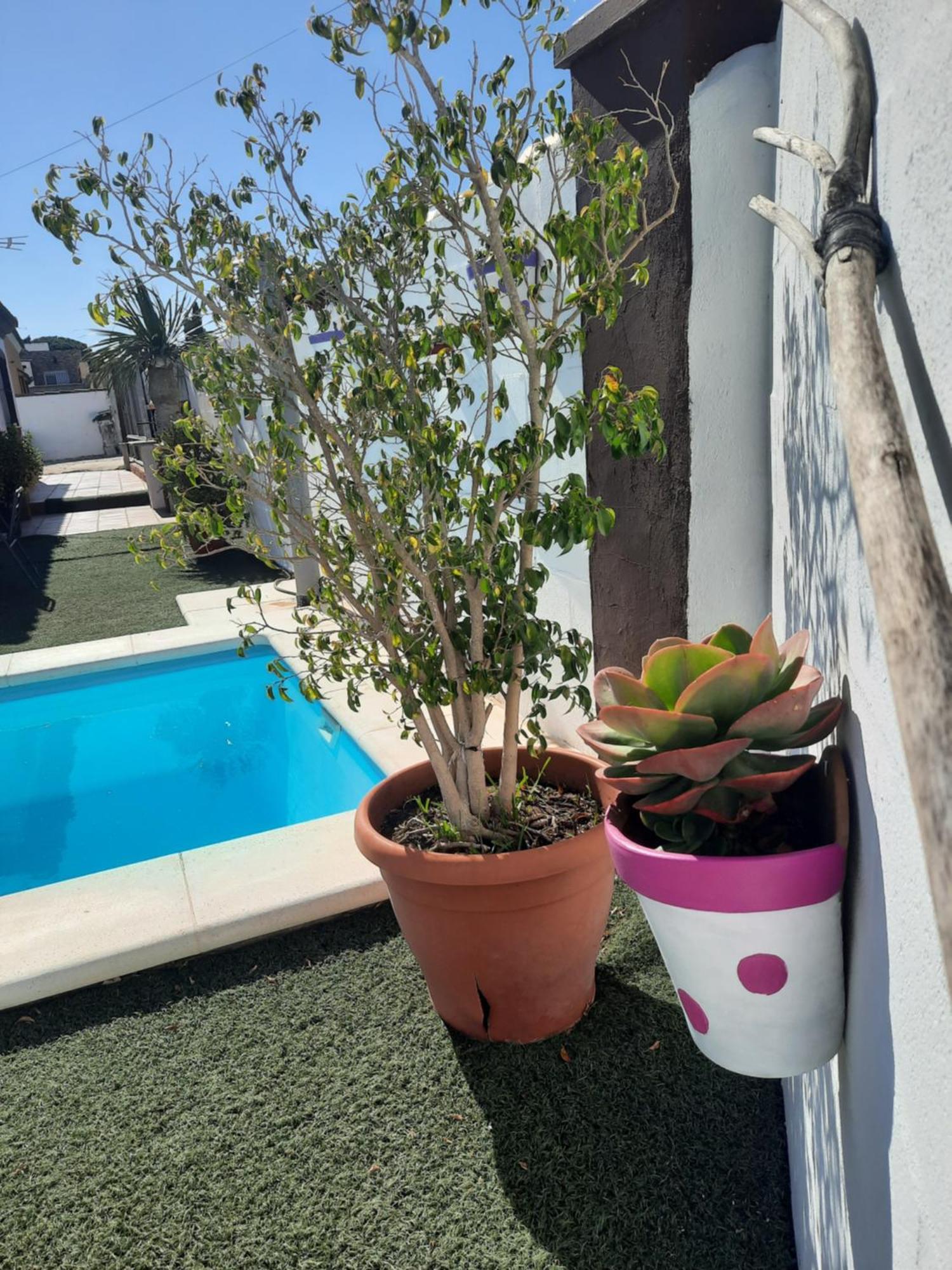 Casa La Pepa Villa Chiclana de la Frontera Exteriör bild
